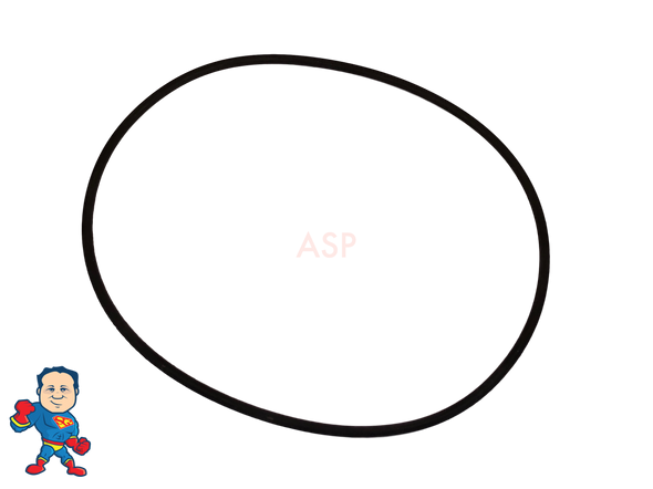 Face O-Ring Intertek LX Pump fits 48 or 56 Frame Replacement Face O-Ring