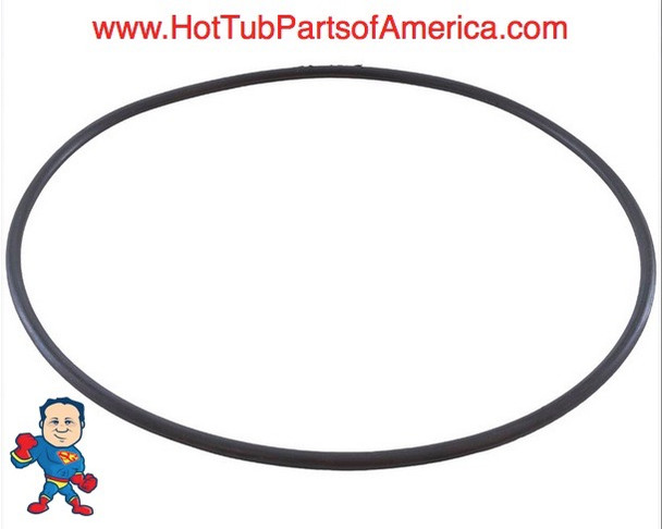 Aqua-Flo, XP, Face, O-Ring, Wet End , Flo-Master, 6" Inside Diameter, 1/8" Thick Aqua-Flo, XP, Face, O-Ring, Wet End , Flo-Master, 6" Inside Diameter, 1/8" Thick