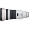 Canon EF 400mm f/2.8L IS III USM Lens