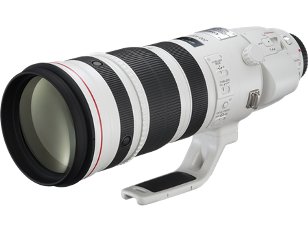 Canon EF 200-400mm f/4L IS USM Lens with Built-In 1.4x Extender