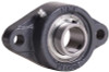 BEARING 2 HOLE FLANGE 3/4" SETSC - Standard 2 Bolt Flange, Set Screw Lock