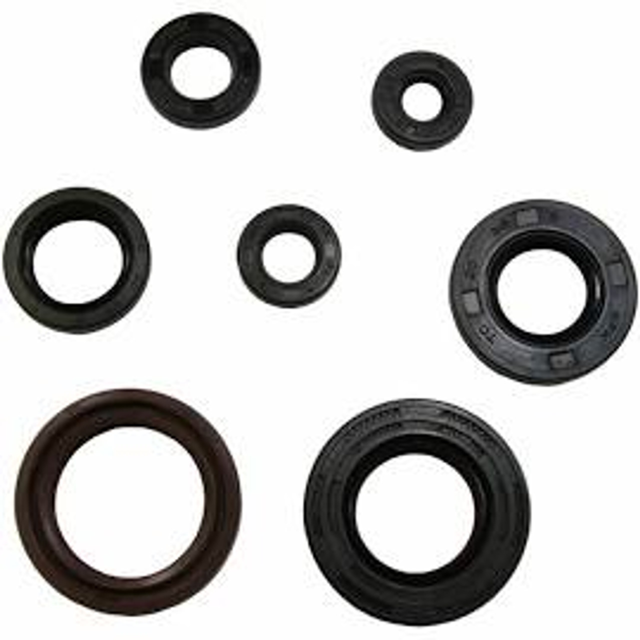 Giant - Oil Seal Kit, P400 Series, 1 Pc. Seal Case (Call for Pricing)