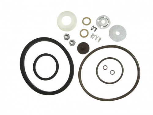 Seal and Gasket Kit with Viton® (6-4629)