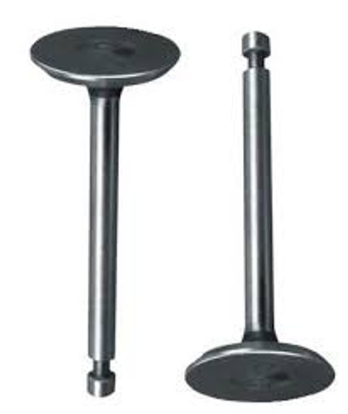 SET INTAKE & EXHAUST VALVES GX160-200