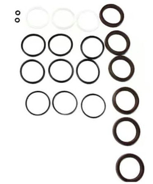 Cat 76118 - Seal Kit For 66PPX40GG1 Pumps