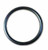 GP 2701078 O-RING FOR 1", 1 1/4" & 1 1/2" WATER FILTERS