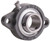 BEARING 2 HOLE FLANGE 5/8" SMALL - Compact 2 Bolt Flange, Set Screw Lock