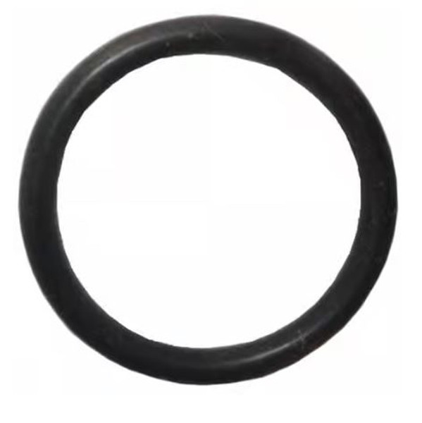 GENERAL PUMP 701013 O-RING