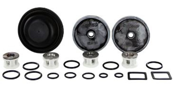 5026.0080.00.DS MP30 REPAIR KIT (CHECK VALVES, DIAPHRAGMS & O-RINGS