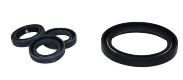 VPK041 -  Viper Oil Seal Kit (VV3G36G, VV4G42G)