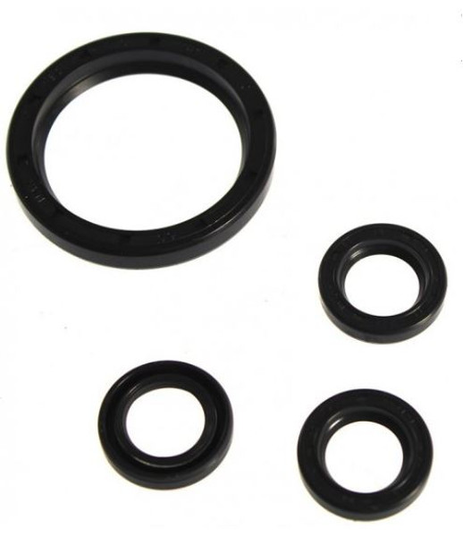 AR42474 - Oil Seal Kit, RCV