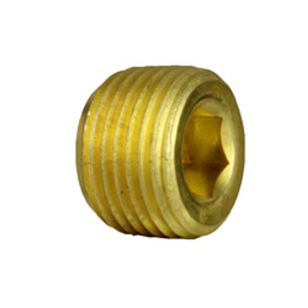 3162-12 Hex Socket Pipe Plug - Brass, 3/4"	
