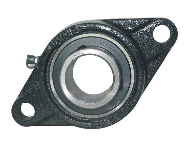 BEARING 2 HOLE FLANGE 2" Standard 2 Bolt Flange, Set Screw Lock, Extended Race