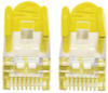 Intellinet 735827 LSOH Network Cable. Cat6. SFTP 735827