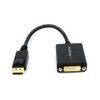 Startech.Com Displayport To Dvi Adaptor DP2DVI2