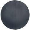 Leitz Ergo Cosy Active Sitting Ball Velvet Grey 52790089 52790089