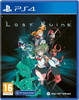 Lost Ruins Sony Playstation 4 PS4 Game