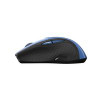 Canyon CNS-CMSW01BL Mouse Right-Hand Rf Wireless CNS-CMSW01BL
