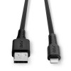 Lindy 31320 1m USB Type A to Lightning 31320