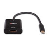 Lindy 43269 USB Type C to DisplayPort 43269