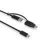 ICY BOX IB-CB034 Usb Cable 1 M Usb 3.2 Gen 2 IB-CB034