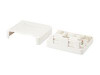 Equip 125124 2-Port Keystone Jack Surface 125124
