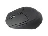 Conceptronic LORCAN02B Lorcan Ergo Mouse Right-Hand LORCAN02B