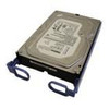 Lenovo 67Y2613-RFB ThinkServer 500GB 67Y2613-RFB