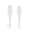 Belkin CAA009BT2MWH Usb Cable 2 M Usb C Usb CAA009BT2MWH