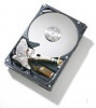 HGST 0A33408-RFB 250GB IDE 7200RPM 8MB CACHE 0A33408-RFB