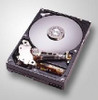 HGST 08K0461-RFB 40GB Deskstar Hard Drive ATA 08K0461-RFB