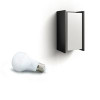 Philips by Signify 915003761403 Hue Outdoor Turaco Wall lamp 915003761403
