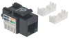 Intellinet 210416 Cat5e Keystone Jack 210416