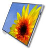 Dell DX690 LCD 14.1 WXGA DX690