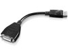 Lenovo 45J7915-RFB DisplayPort to single Link 45J7915-RFB