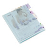 Rexel Budget Cut Flush Folder Polypropylene A4 135 Micron Clear Pack 100 12182 12182