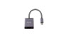 LMP 15936 USB-C to DisplayPort adapter. 15936