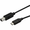 Startech 0.5M Usb C To Usb B Printer Cable M/M Usb 2.0 Usb C To Usb B Cable Usb USB2CB50CM