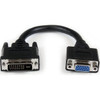 Startech 8In Dvi To Vga Cable Adapter Dvi-I Male To Vga Female Cable for Video D DVIVGAMF8IN