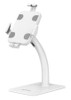 Manhattan Desktop Kiosk Stand Anti Theft for Tablet And Ipad Universal 360?? Rot 406352