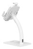 Manhattan Desktop Kiosk Stand Anti Theft for Tablet And Ipad Universal 360?? Rot 406352