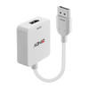 Lindy Electronics Lindy Hdmi 18G To Displayport 1.2 Converter. Cable Length: 0.0 38303