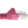 Group Gear Connektgear 5M Category 6 Network Cable for Network Device Printer Sc 31-0050PN