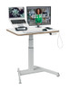Leitz Ergo Small Electric Sit Standing Desk 65341001