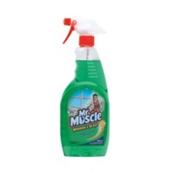 Mr Muscle Window And Glass Cleaner Spray Bottle 750Ml 1003009 1003009