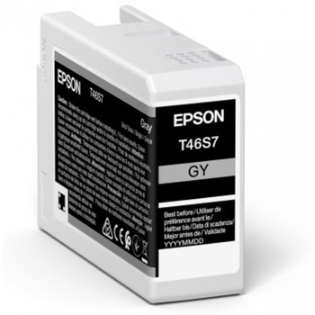 Epson UltraChrome Pro Pigment-based ink 25 ml 1 pcs C13T46S700