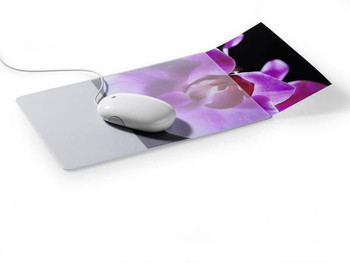 Durable 574719 5747-19 Transparent 574719