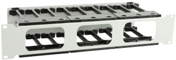 Lanview RAO430WH 2U 19" P TYPE CABLE RAO430WH