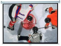 Elite Screens M100XWH Manual 100" 16:9 M100XWH