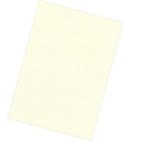 Fellowes 5370004 Binding Cover A4 Paper Ivory 5370004